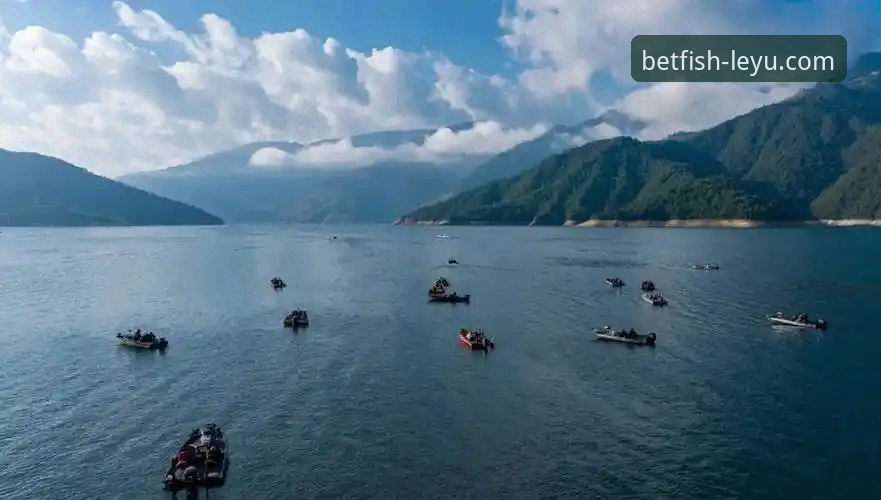 如何利用乐鱼体育平台获取精准赛事资讯？这份实战指南请收好